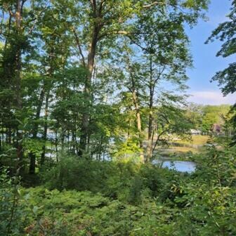 12129 N Lake St, Bitely, MI 49309 - photo 5