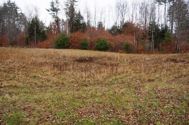 0 Thayer Brook Rd unit 4872885, Alstead, NH 03602 - photo 2