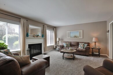 Wood burning fireplace in calm living sp