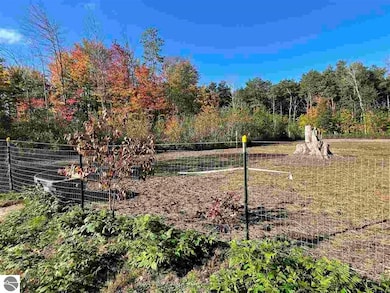 6236 E Michigan 55, Whittemore, MI 48770 - photo 4