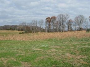 LEVEL TO ROLLING FIELDS