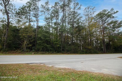 861 Roberts Rd, Newport, NC 28570 - photo 4