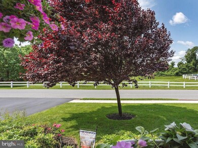 156 Waynebrook Dr, Honey Brook, PA 19344 - photo 4