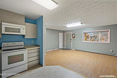 10-DSC05063