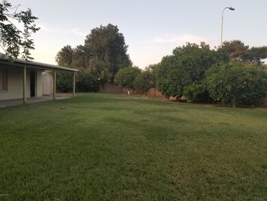 4505 W Golden Ln, Glendale, AZ 85302 - photo 7