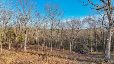 15316 Hargis Ct, Cold Spring Township, MO 65401 - photo 4