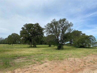 4100 Old Dennis Rd, Weatherford, TX 76087 - photo 5