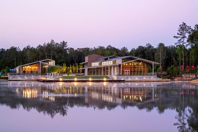 18025 Blu Terrace Dr, Conroe, TX 77302 - photo 6