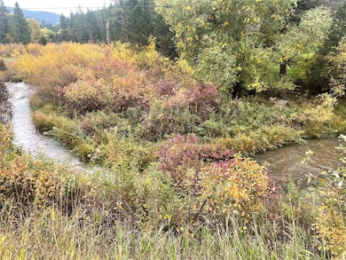 7300 Trout Creek Rd, Helena, MT 59602 - photo 6