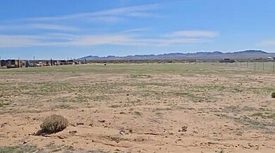 0 W Turkey Tract Rd unit 31261, Dolan Springs, AZ 86441 - photo 5