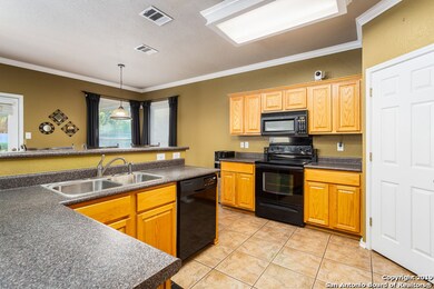 24607 Alamosa Falls, San Antonio, TX 78255 - photo 5