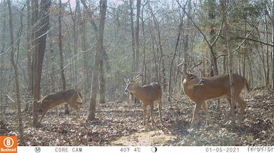 0 Bayberry Ln unit MIS25054464, Climax Springs, MO 65324 - photo 2