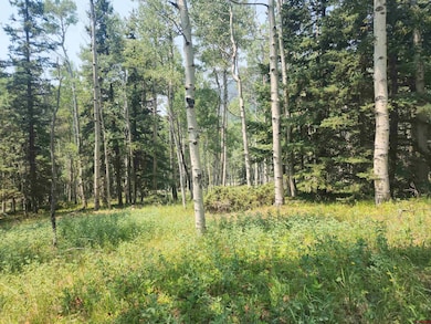 19 Oliver St, Monte Vista, CO 81144 - photo 3