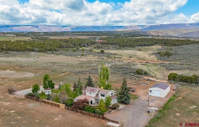 26451 Cedar Mesa Rd, Cedaredge, CO 81413 - photo 4