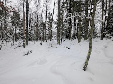 off Wooded Ln, Conover, WI 54519 - photo 7