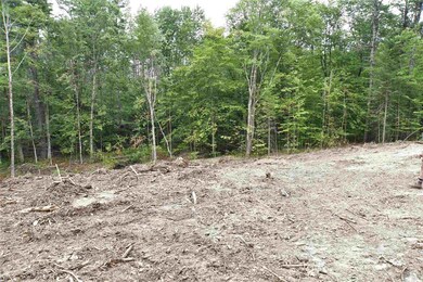 0 Peacham Rd unit 26-2 4829111, Barnstead, NH 03225 - photo 2