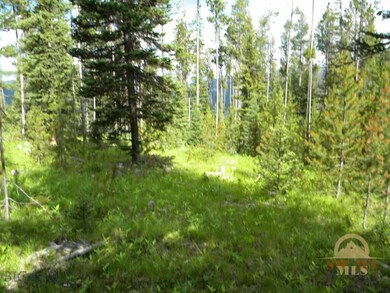 TBD Hyalite Dr, Big Sky, MT 59716 - photo 7