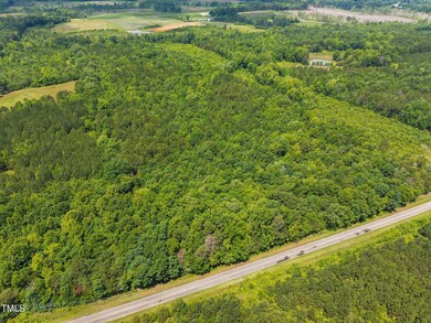 00 Robert Morgan Rd, Bullock, NC 27507 - photo 7