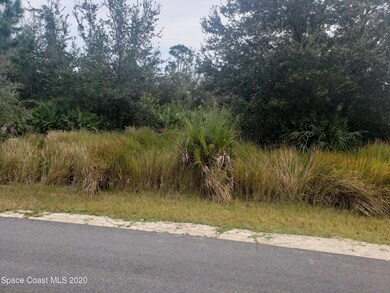 Lot 2993 Creech SE Palm