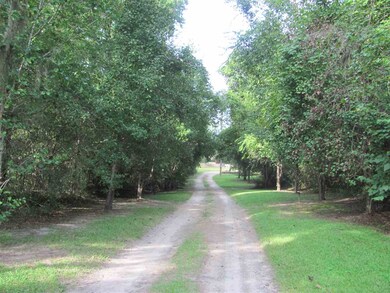 244 J K Moore Rd, Crawfordville, FL 32327 - photo 2