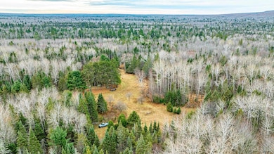 TBD Asumaa Rd, Atlantic Mine, MI 49905 - photo 2