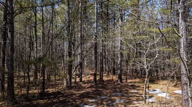 0 Country Side Ln Lot #51 unit RTC2424319, Spencer, TN 38585 - photo 7
