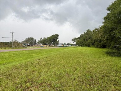 0 State Route 471, Sumterville, FL 33585 - photo 4