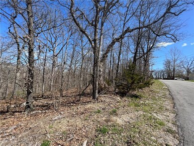 Lot 8 Ilsle Ln, Bella Vista, AR 72714 - photo 4