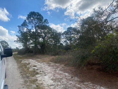 413 Sunshine Ave, Lake Placid, FL 33852 - photo 2