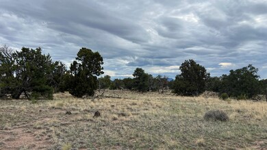 0 Squaw Pass unit 24661344, Quemado, NM 87829 - photo 4