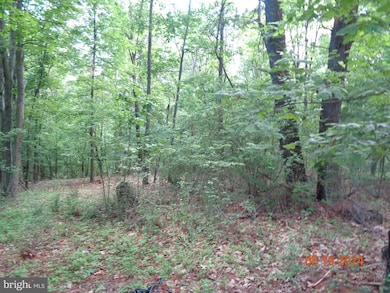 1634 Tub Run Hollow Rd, Hedgesville, WV 25427 - photo 7