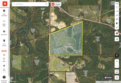 . Pea Market Rd, Columbia, AL 36319 - photo 2