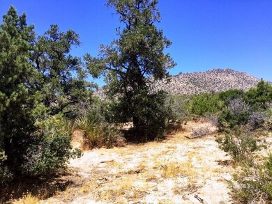 PINYON PINES