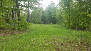 783 Dexter Mountain Rd unit 3A, Glover, VT 05839 - photo 4