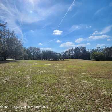 832 E Dunbar Ln, Hernando, FL 34442 - photo 4