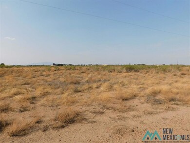 0 Earl Scott Trail SW unit 20213932, Deming, NM 88030 - photo 5