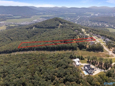 14 Watson Grande Way SE, Owens Cross Roads, AL 35763 - photo 5