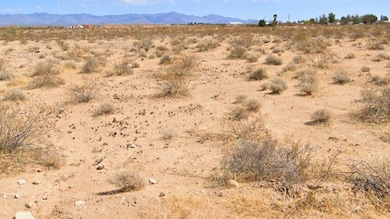 Mohave Arizona, Lake Havasu City, AZ 89801 - photo 2