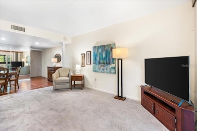 875 S Village Dr N unit 204, Saint Petersburg, FL 33716 - photo 7