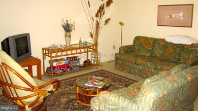 119 Old Landing Rd unit 204f, Ocean City, MD 21842 - photo 6