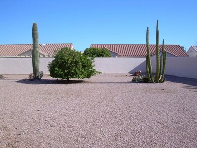 REAR YARD
