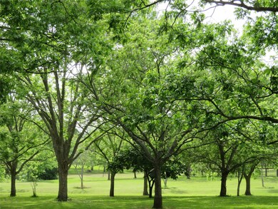 2103 Holly St, East Bernard, TX 77435 - photo 6