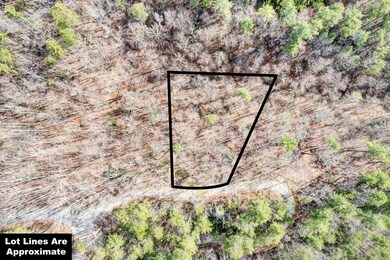 Lot 17 Meadow View Rd, Sevierville, TN 37862 - photo 3