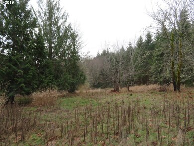 0 Cousins Rd unit 19109688, Chehalis, WA 98532 - photo 4