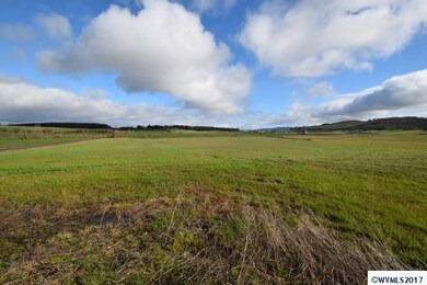 4800 Livermore Rd, Dallas, OR 97338 - photo 4