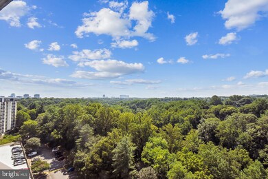 Lakeside Plaza Condominium unit PH3, Baileys Crossroads, VA 22041 - photo 6