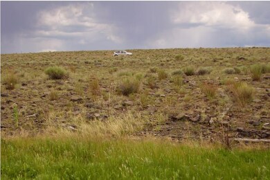 Lot 884 Rio Grande River, Mesita, CO 81152 - photo 6