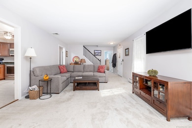 101 Adella St, Naugatuck, CT 06770 - photo 6