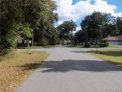 12013 SW 98th Loop, Dunnellon, FL 34432 - photo 4