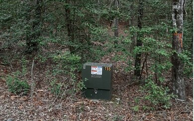 LT 6 Peter Knob Rd, Blue Ridge, GA 30513 - photo 4